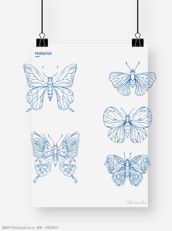 手稿图案蝴蝶图片