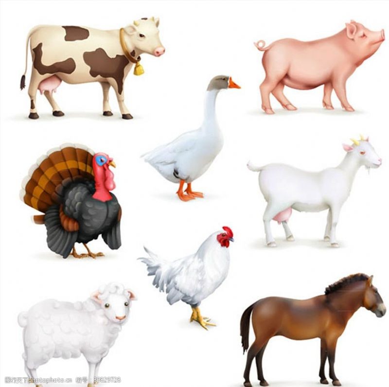 羊奶家畜与家禽矢量图片