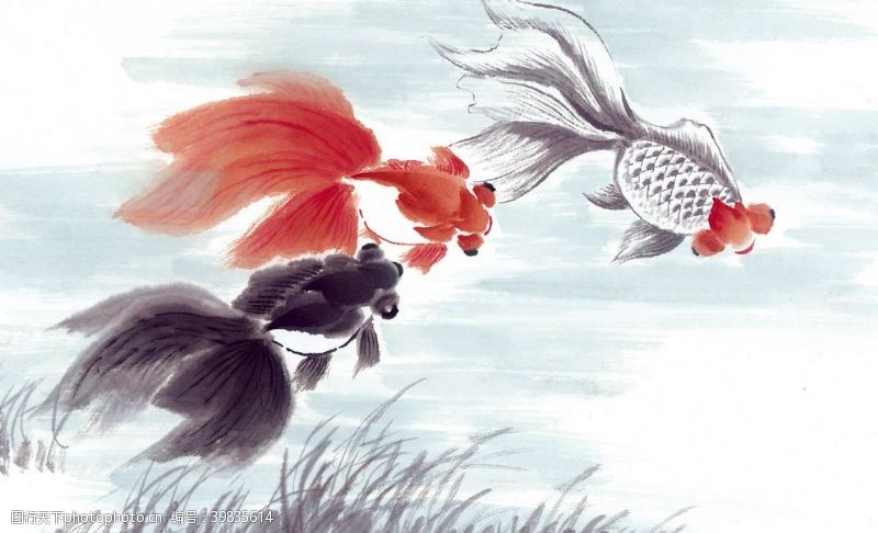 水墨画鲤鱼锦鲤图片