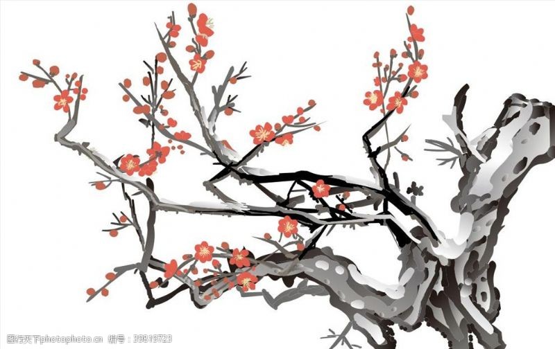 腊梅树枝梅花图片