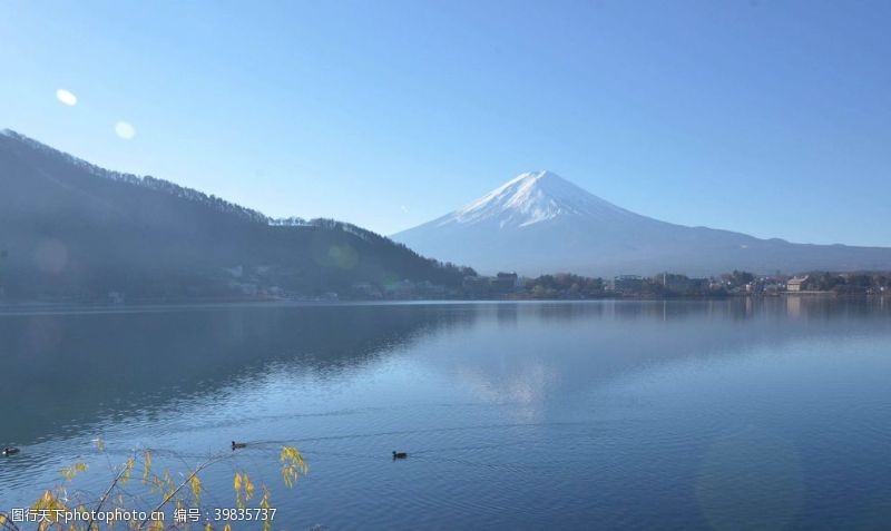 日本樱花日本富士山图片