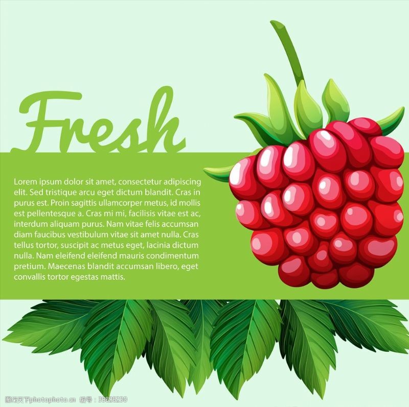 绿色蔬菜海报素材矢量水果图片
