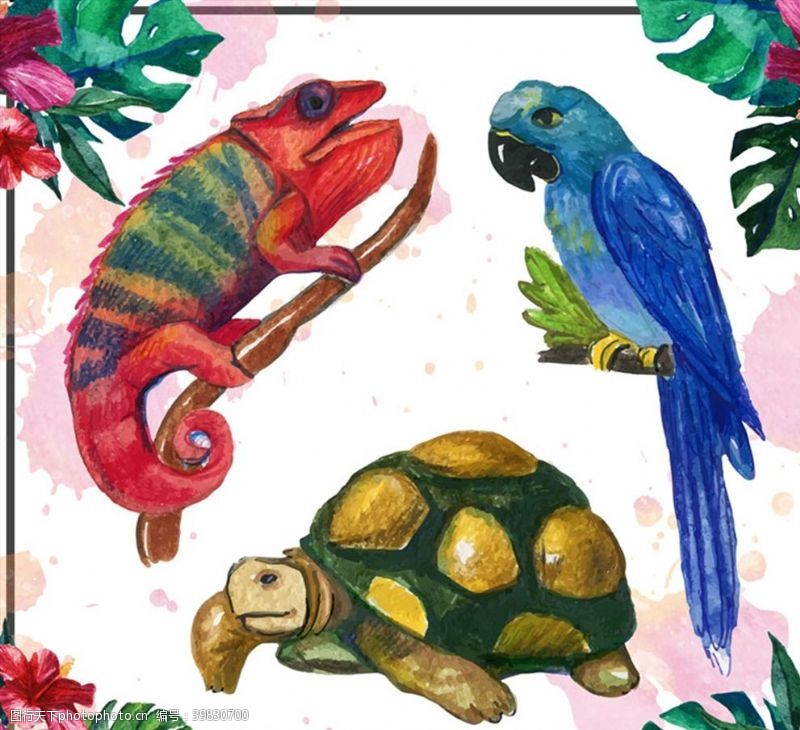 龟背竹水彩绘热带动物图片