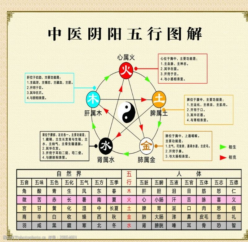 中医文化四季养生展板图片