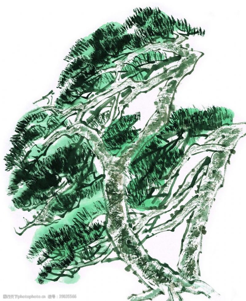 彩铅松树图片