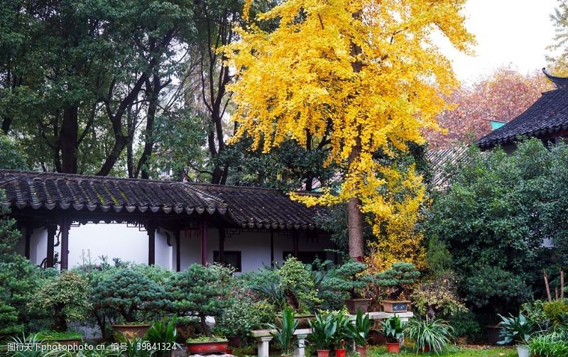 现代小筑苏州园林秋季图片