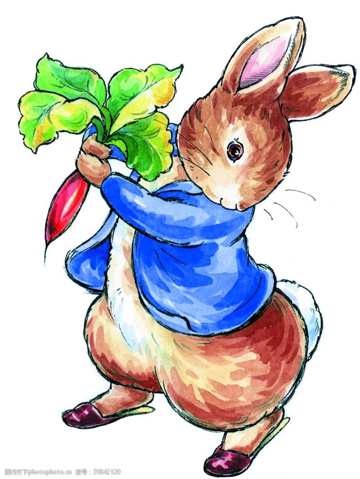 兔子底纹兔子拔萝卜图片