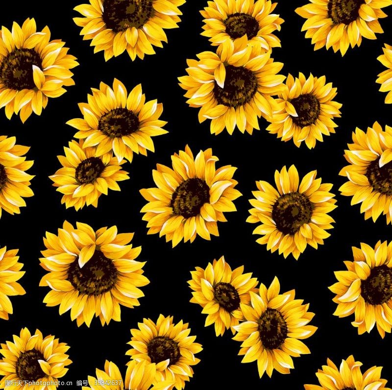 花卉无框画向日葵数码印花图片