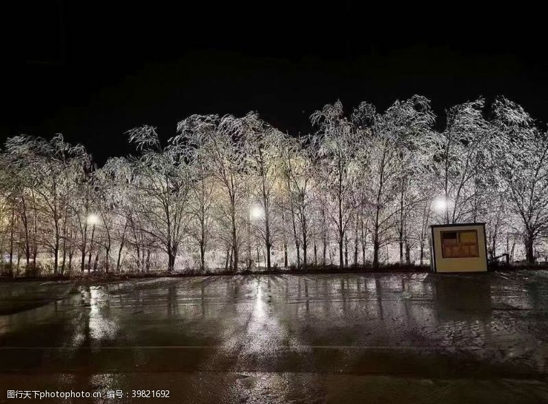 体育世界雪银色世界冰树冬天图片