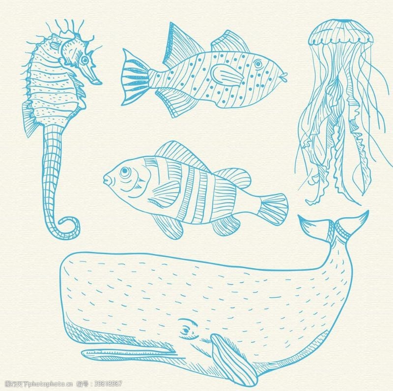 淡彩画鱼海鲜图片