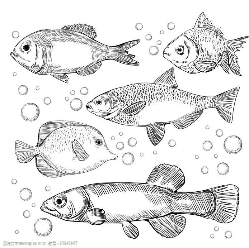 美人鱼水彩画鱼海鲜图片