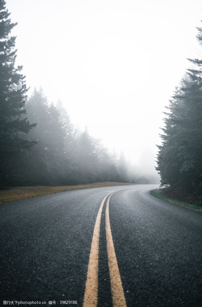 山地车冬天雾公路背景图片