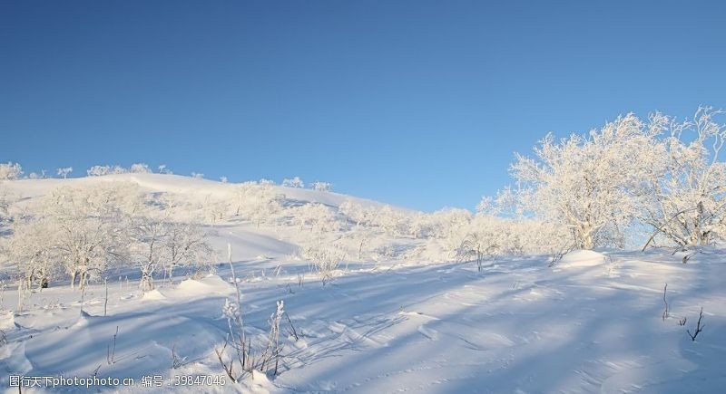 卡通滑雪冬天雪景图片