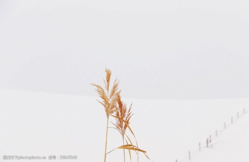 风景如画敦煌鸣沙山月牙泉图片