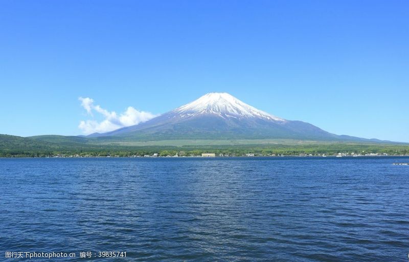 樱花旅游富士山图片