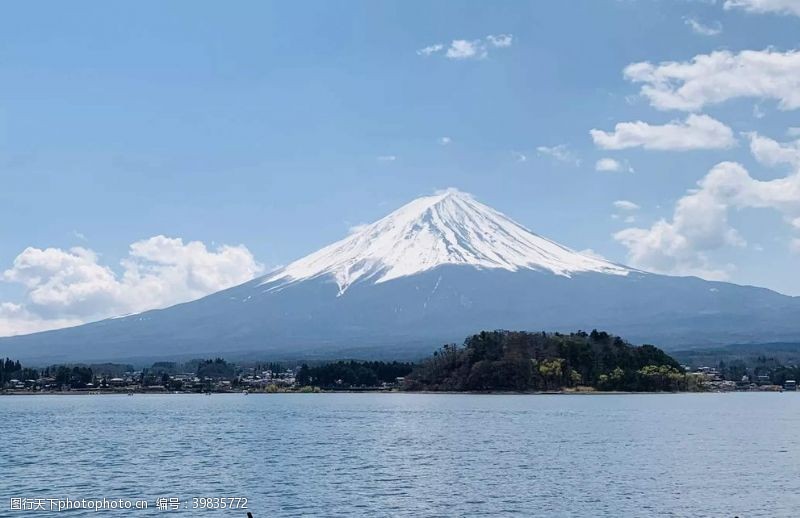 日本樱花富士山图片