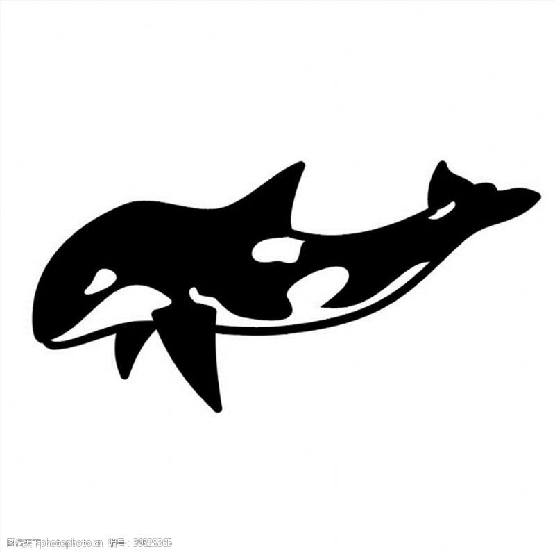 海豚CDR矢量图图片