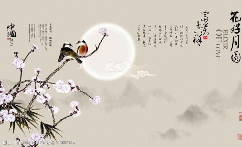 中国牡丹花花好月圆图片