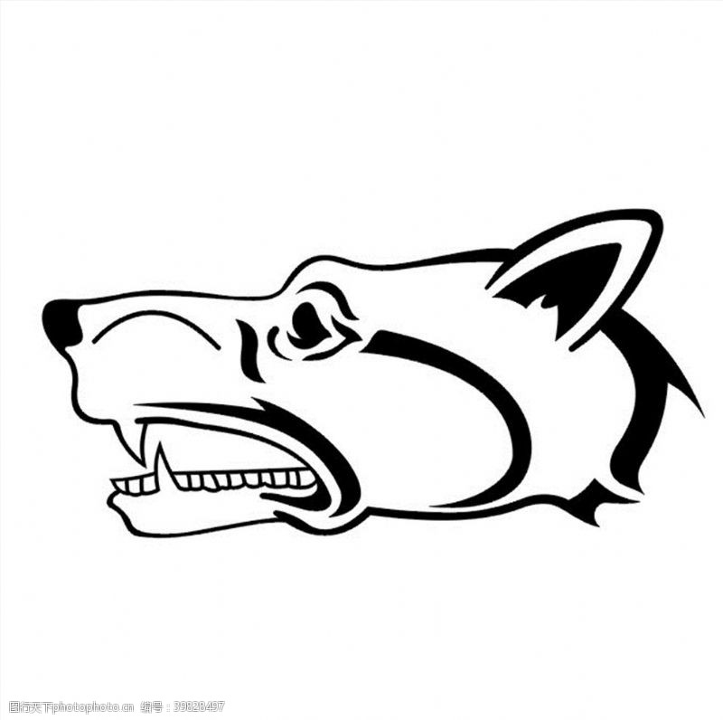 白狼狼头CDR矢量图图片