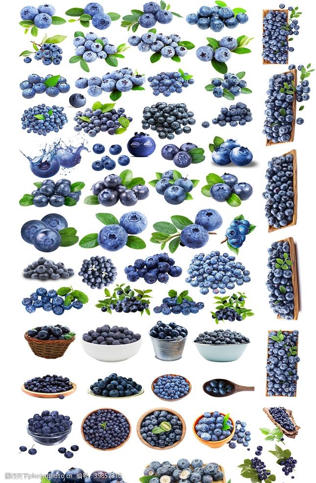 蓝莓免抠图汇总图片