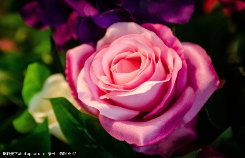 婚礼花卉玫瑰花卉图片