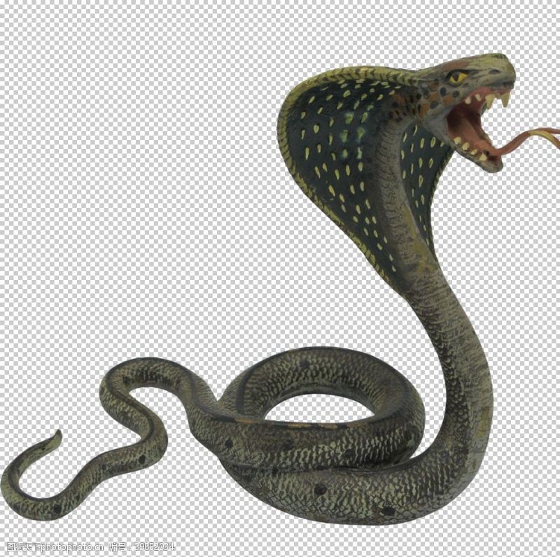 蟒蛇蛇剪影图片