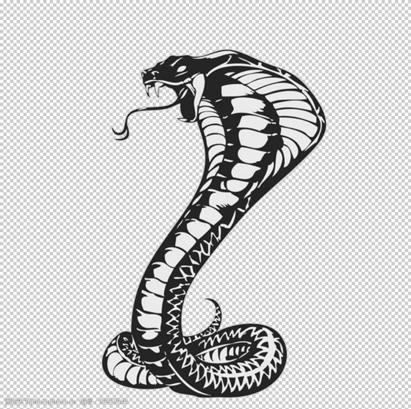 蟒蛇蛇logo图片