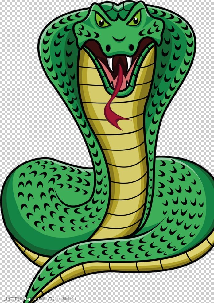 蟒蛇蛇图片