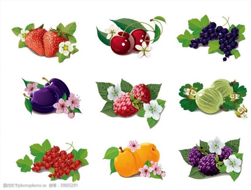 矢量水果水果插画图片