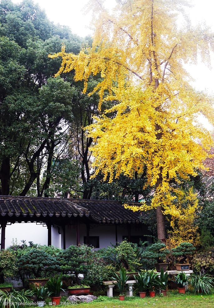 古代建筑素材苏州园林秋天图片