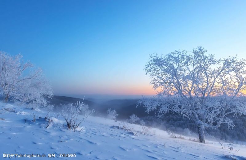 晨光雪龙山之晨图片