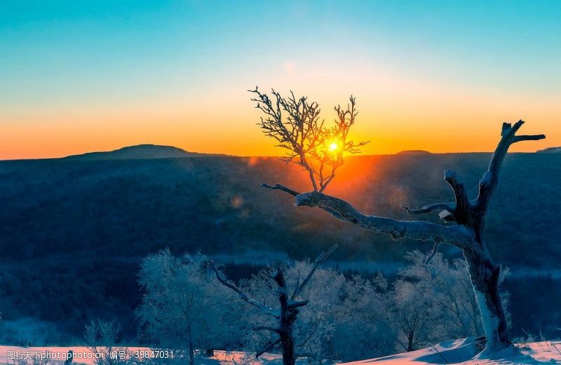 晨光雪龙山之晨图片