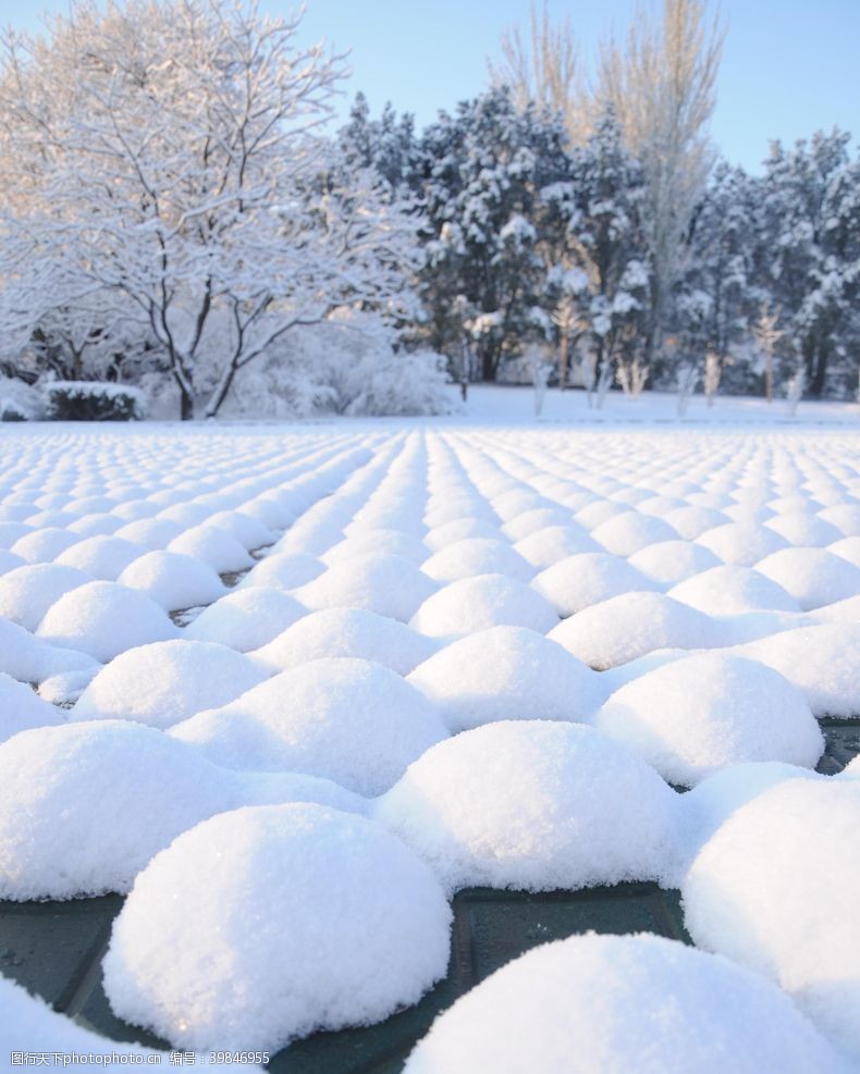 牡丹园雪乡雪馒头图片