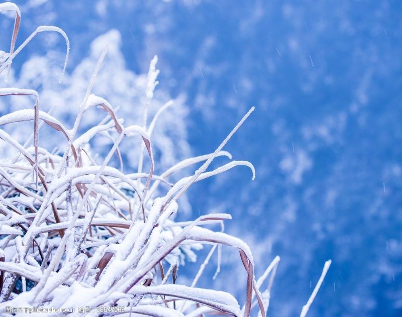 张家界风景张家界雪景图片