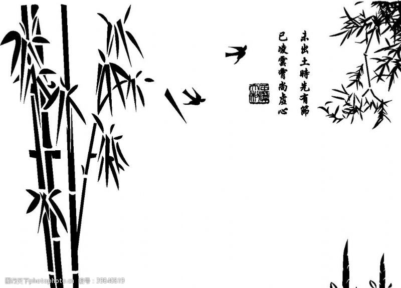 贝壳竹子硅藻泥矢量图图片