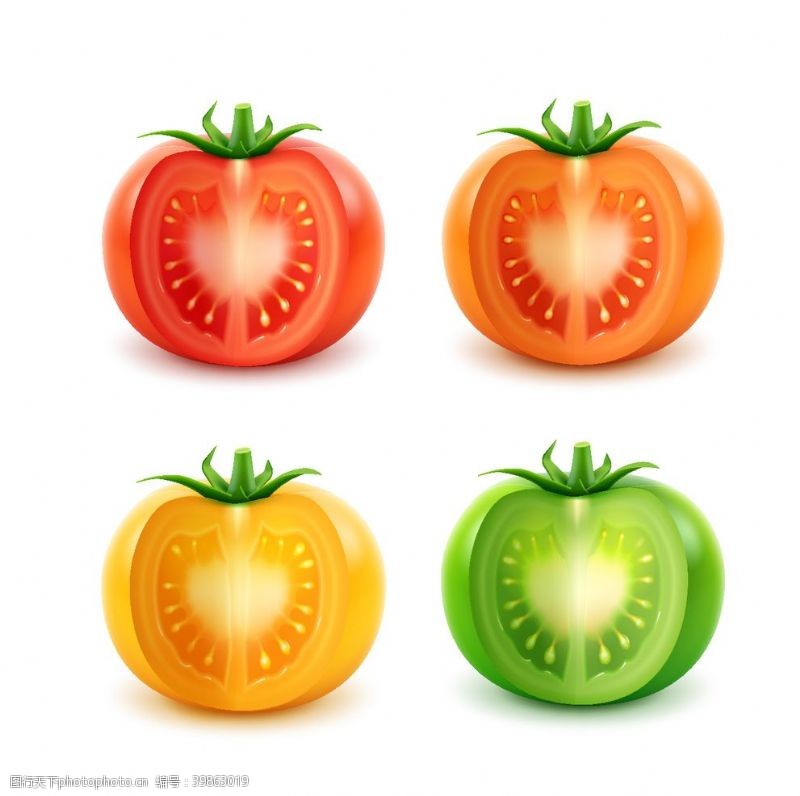 矢量西红柿不同颜色的西红柿图片