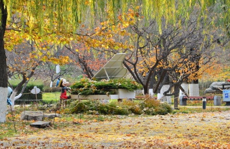 枝条彩叶风景图片