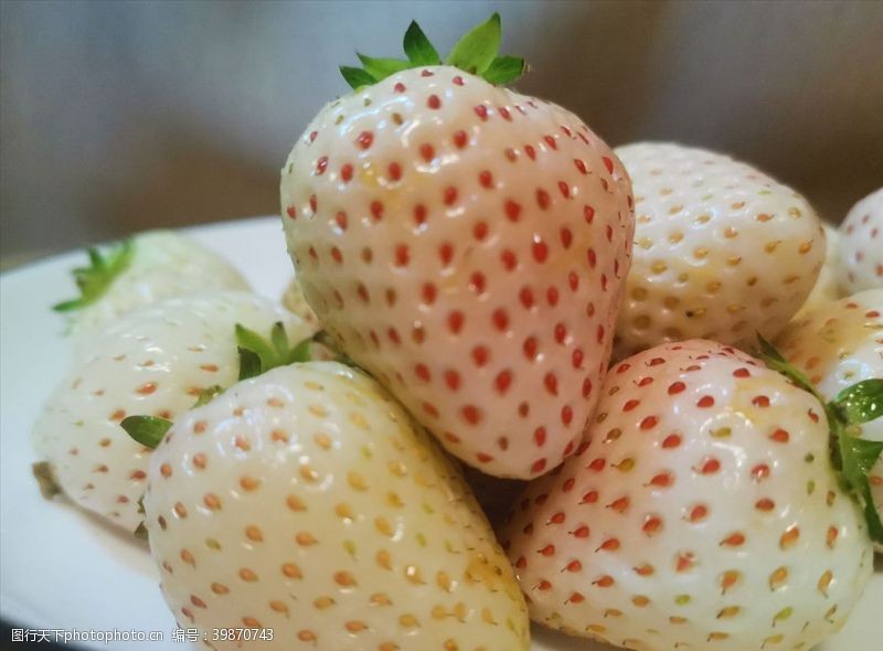 白梅草莓图片