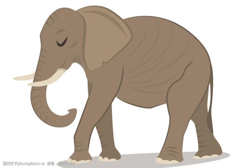 读书插画大象图片