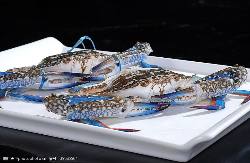 澳洲海鲜蟹类蓝花蚧图片