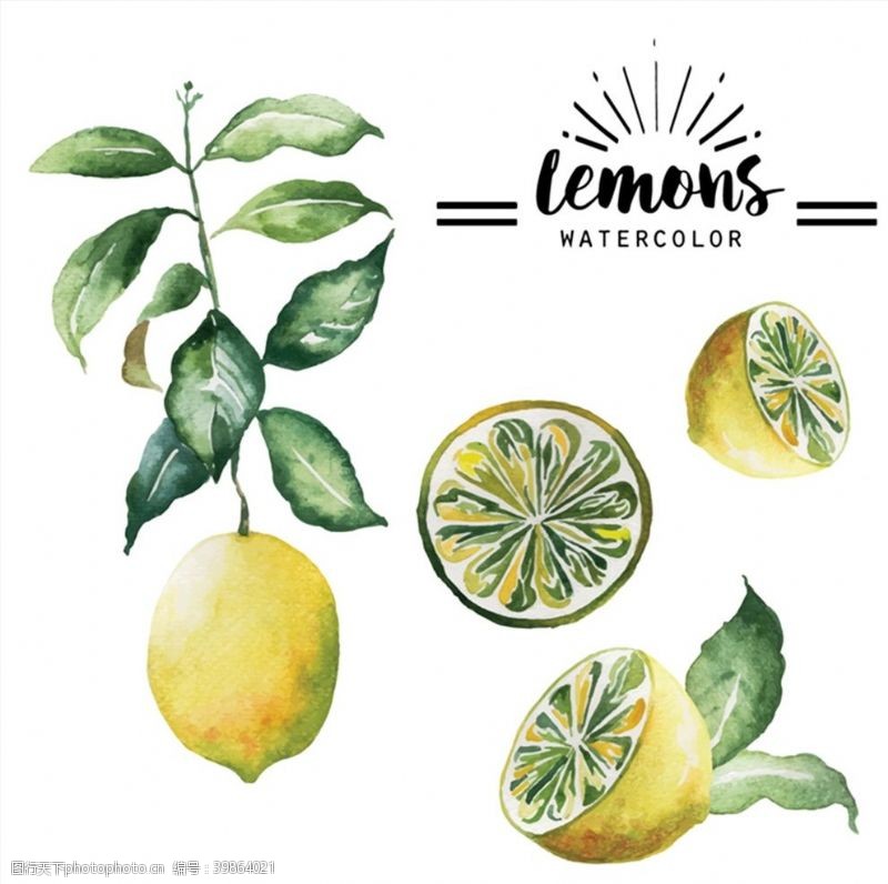 柠檬广告黄色柠檬矢量图片
