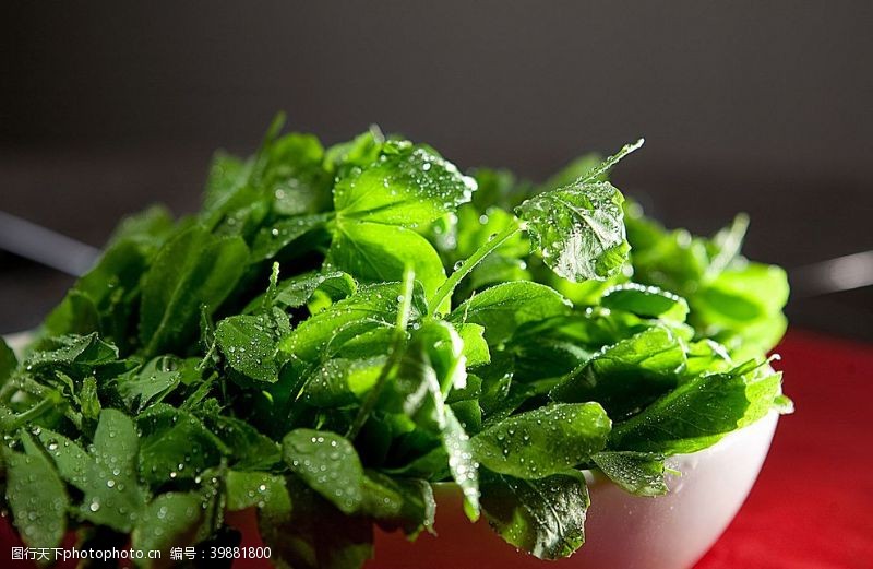 火锅菜谱火锅配菜豌豆尖图片