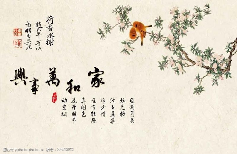 中国牡丹花家和万事兴图片