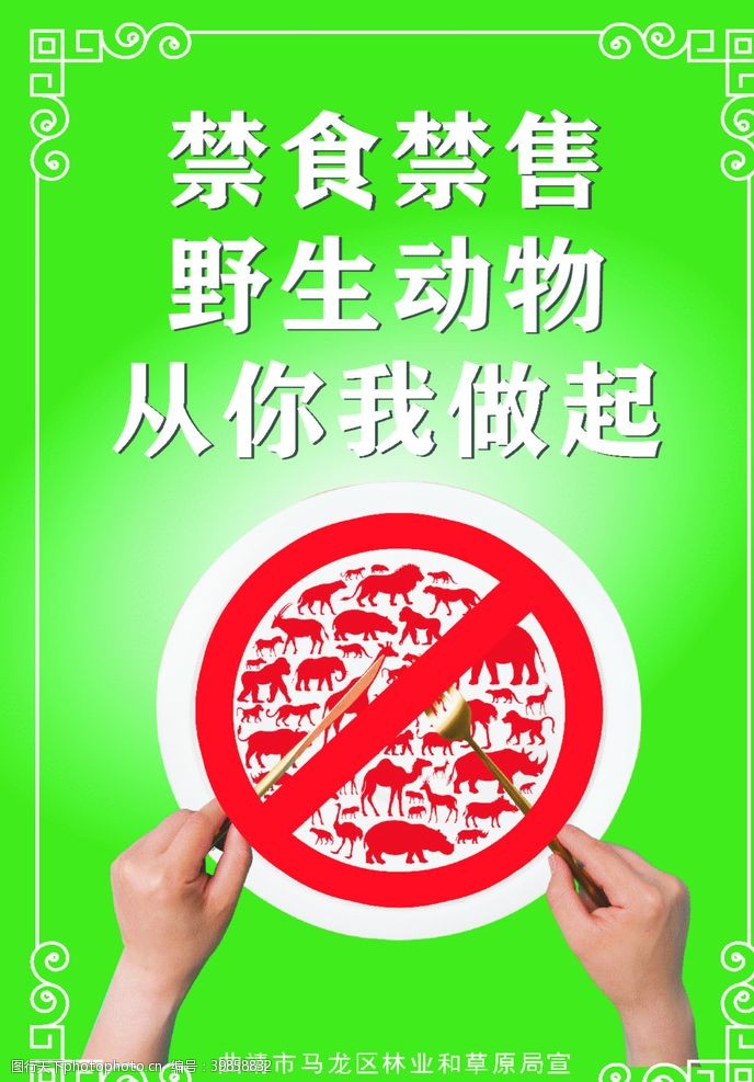 用公筷拒绝野味海报图片