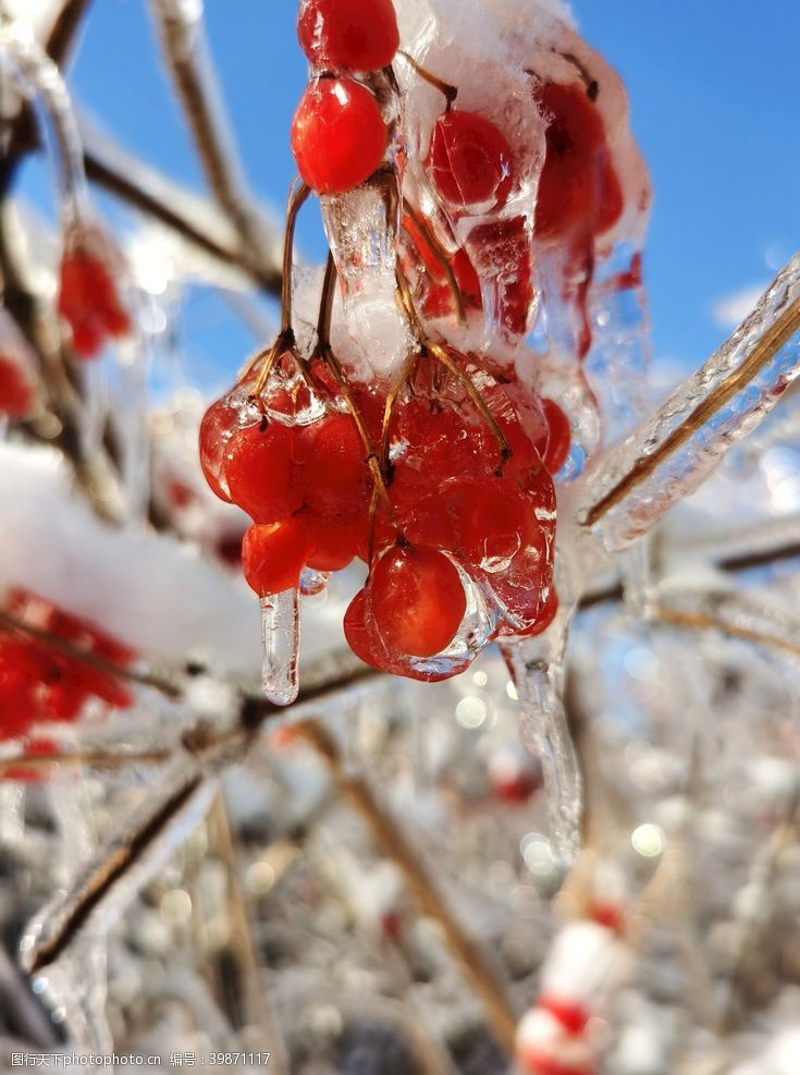 下雨美丽雪景图片