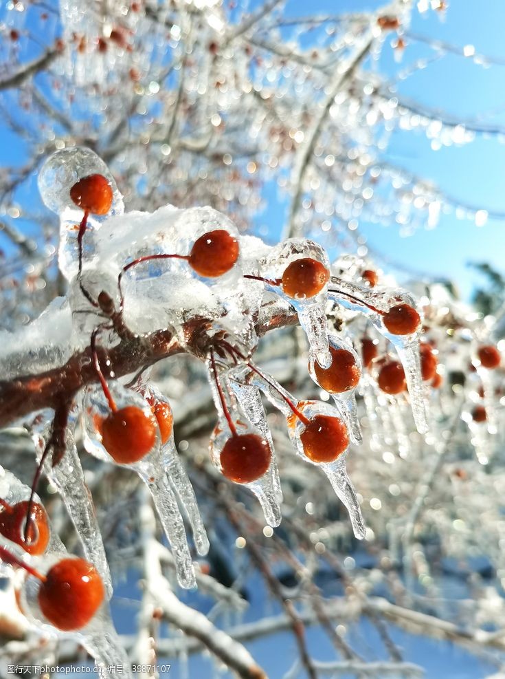 下雨美丽雪景雪冰雪冰雨长春图片