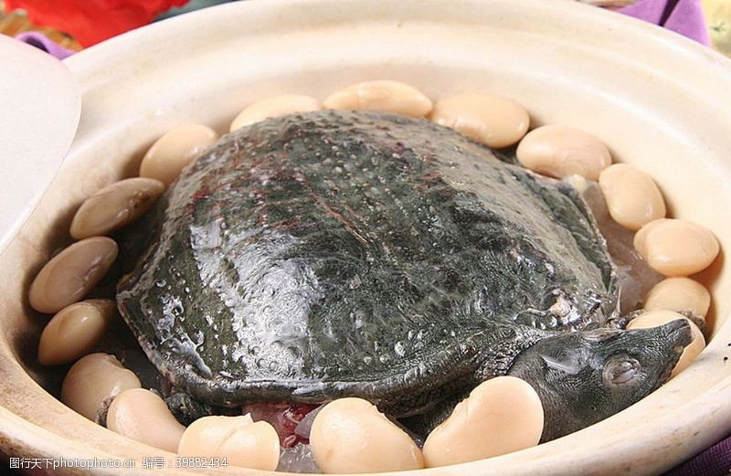 炒锅焖甲鱼图片