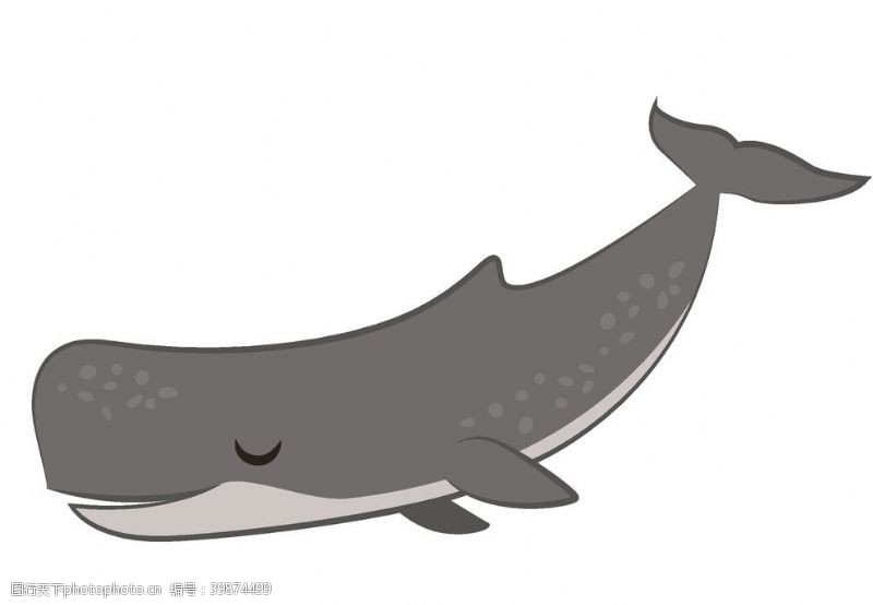 读书插画抹香鲸图片