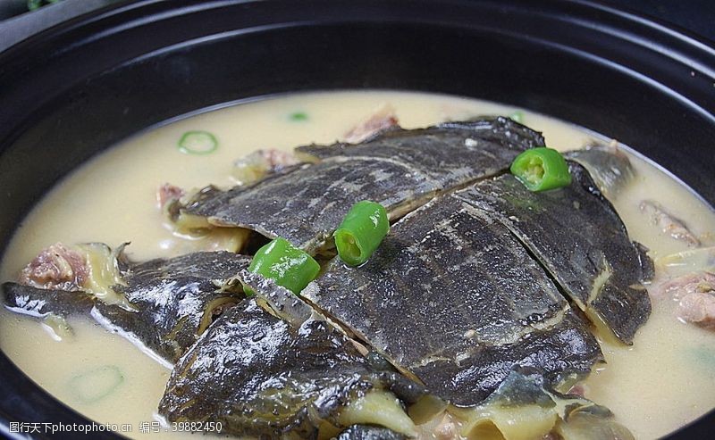 炒锅青椒炖甲鱼图片