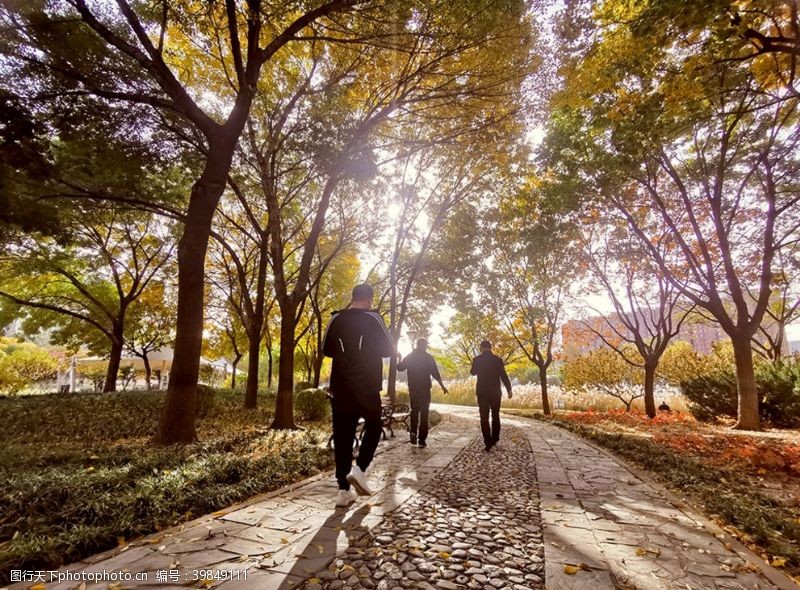 散景秋季公园散步图片